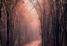 j9：扬帆抚仙湖 乐享慢生活（健身视野）人民日报.