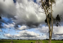 不放水！日媒：18强赛后3战与世界杯抽签顺位相关 日本不能走过场.